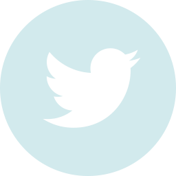 X (Twitter)